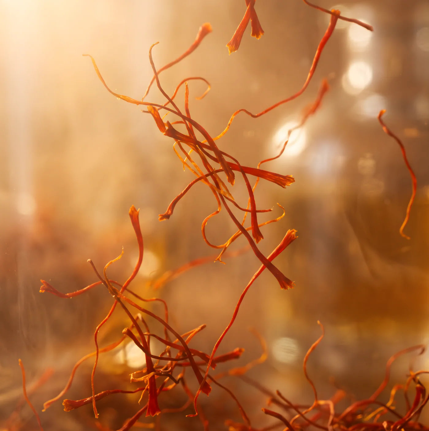 Premium saffron strands, the signature botanical ingredient featured throughout the Maska Organics Auric Harmony Suite skincare collection